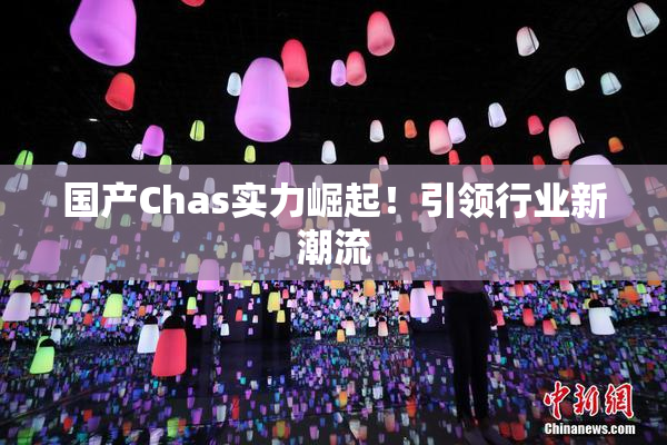 国产Chas实力崛起！引领行业新潮流