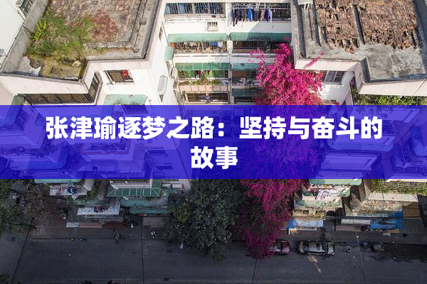 张津瑜逐梦之路：坚持与奋斗的故事