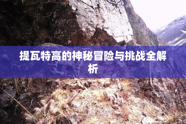 提瓦特高的神秘冒险与挑战全解析