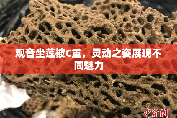 观音坐莲被C重，灵动之姿展现不同魅力