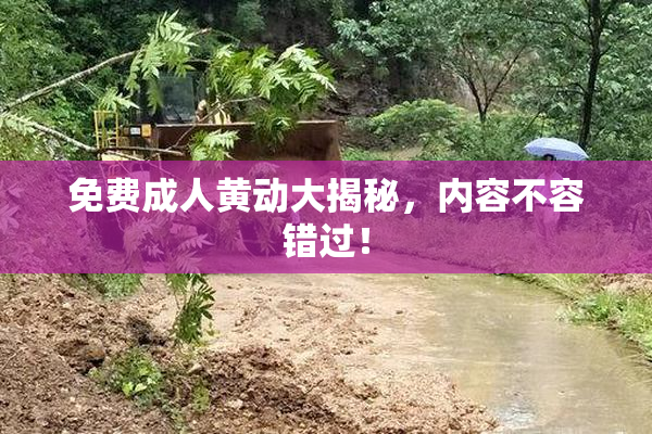 免费成人黄动大揭秘，内容不容错过！
