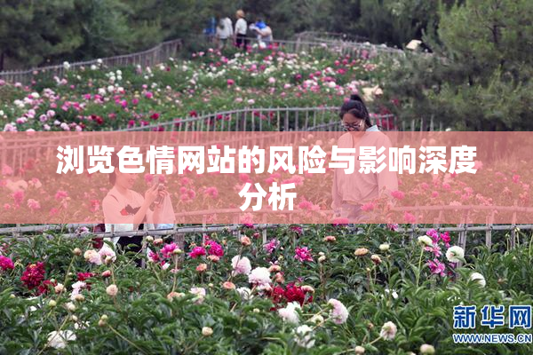 浏览色情网站的风险与影响深度分析