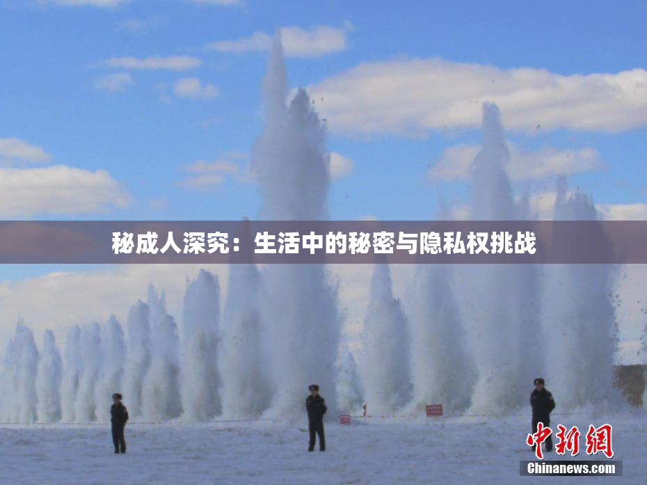 秘成人深究：生活中的秘密与隐私权挑战