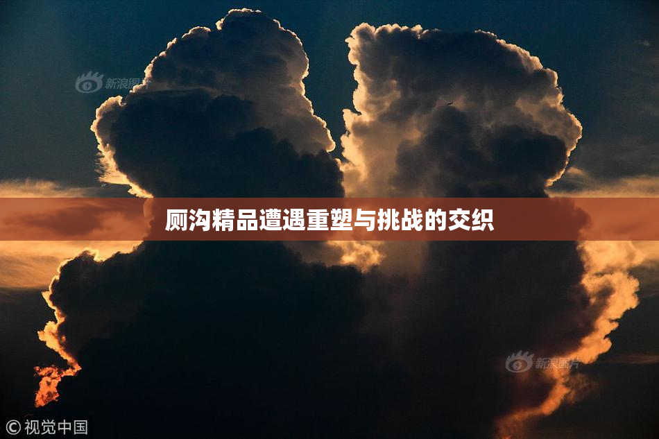 厕沟精品遭遇重塑与挑战的交织