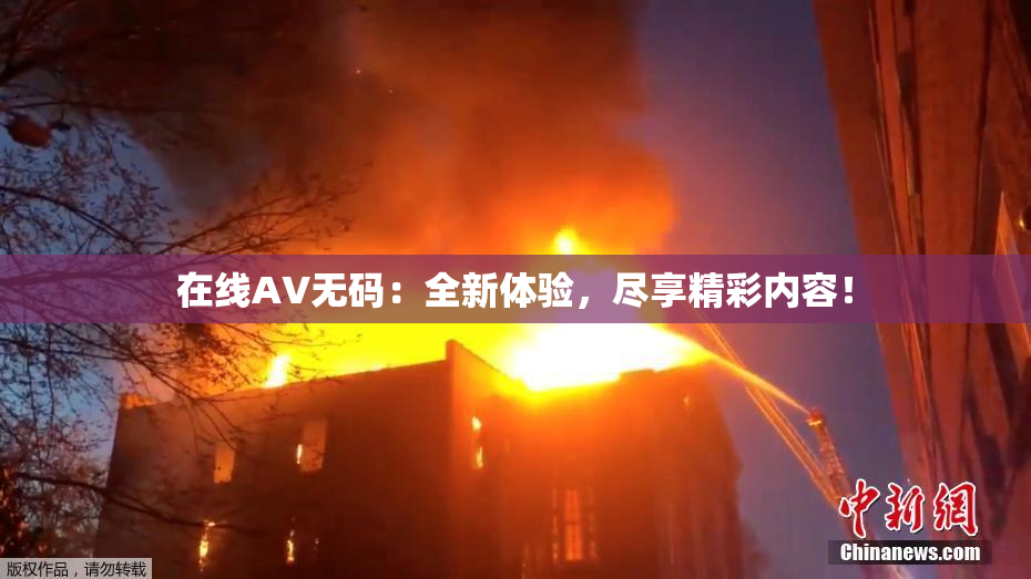 在线AV无码：全新体验，尽享精彩内容！