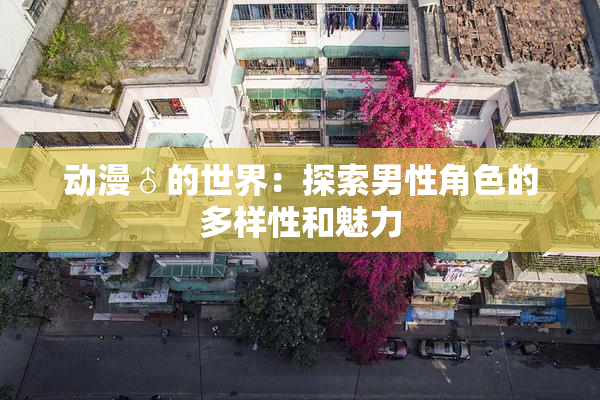 动漫♂的世界：探索男性角色的多样性和魅力