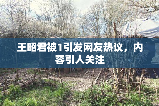 王昭君被1引发网友热议，内容引人关注