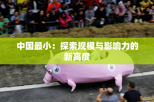 中国最小：探索规模与影响力的新高度