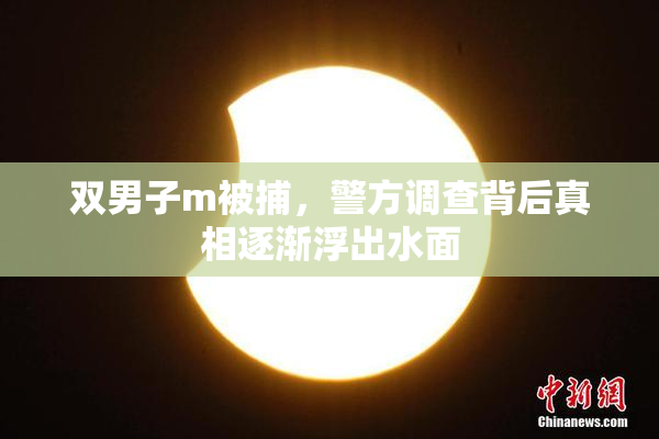 双男子m被捕，警方调查背后真相逐渐浮出水面