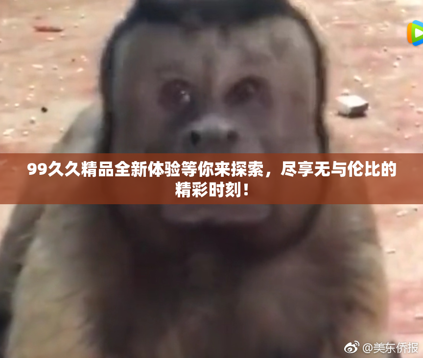 99久久精品全新体验等你来探索，尽享无与伦比的精彩时刻！