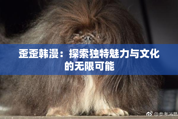 歪歪韩漫：探索独特魅力与文化的无限可能