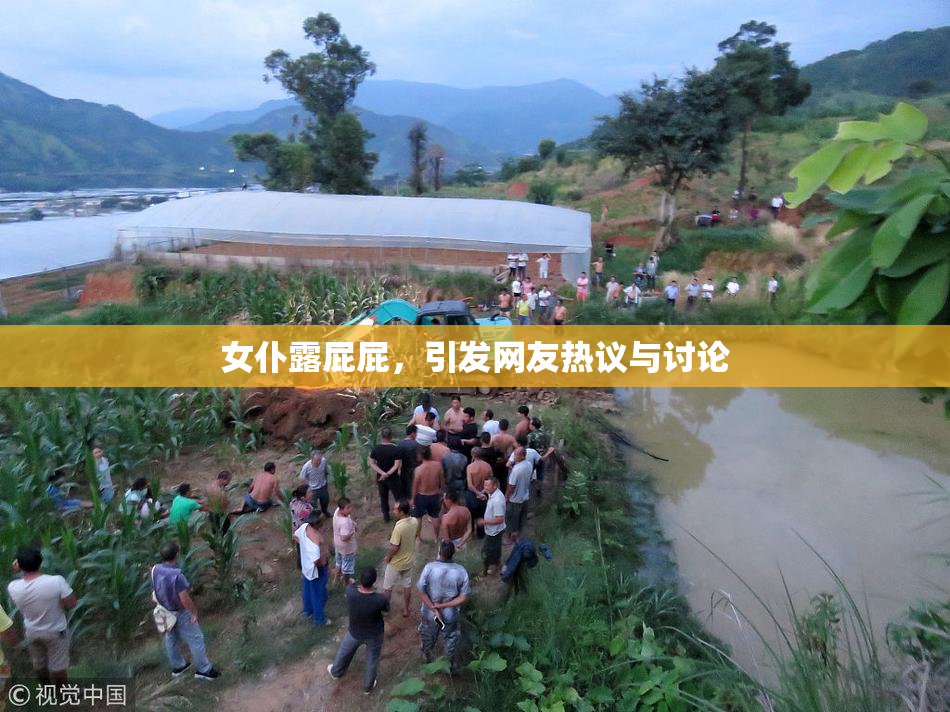 女仆露屁屁，引发网友热议与讨论
