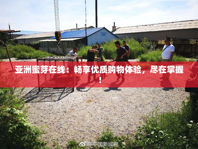亚洲蜜芽在线：畅享优质购物体验，尽在掌握！
