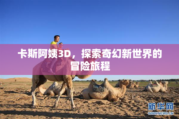 卡斯阿姨3D，探索奇幻新世界的冒险旅程