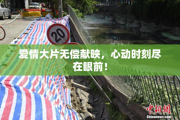 爱情大片无偿献映，心动时刻尽在眼前！