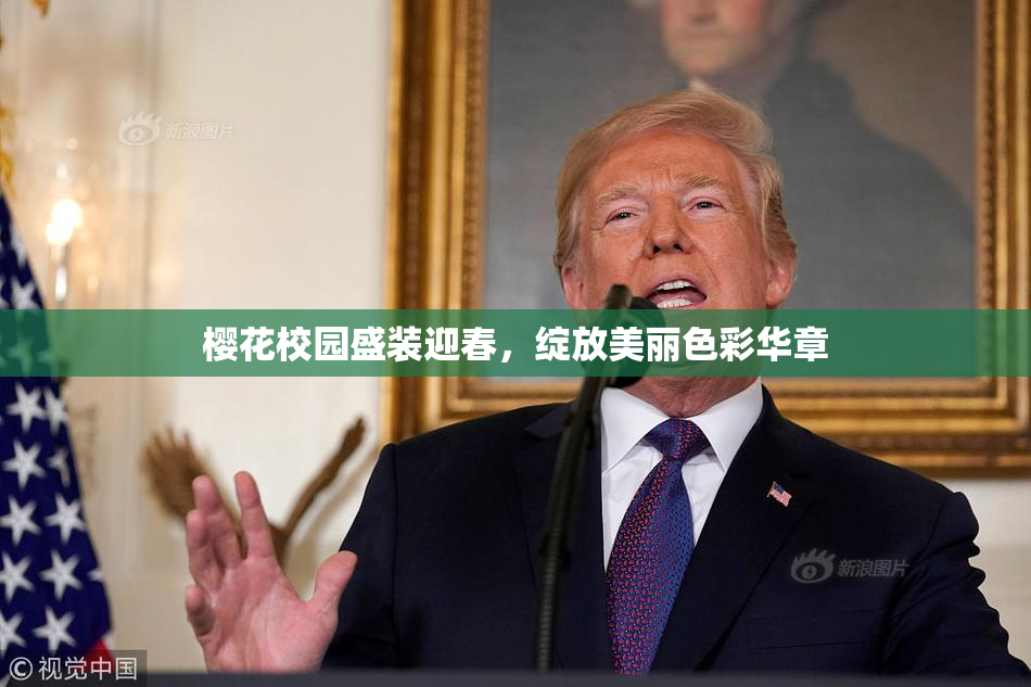 樱花校园盛装迎春，绽放美丽色彩华章