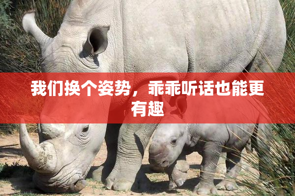 我们换个姿势，乖乖听话也能更有趣