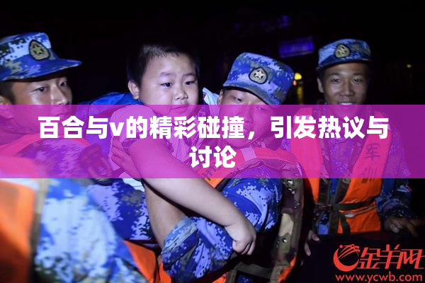 百合与v的精彩碰撞，引发热议与讨论