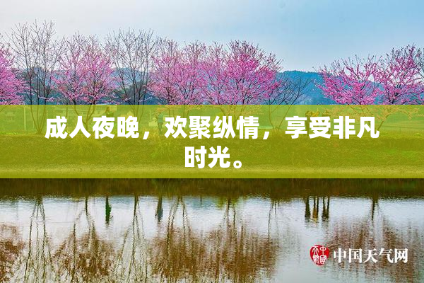 成人夜晚，欢聚纵情，享受非凡时光。