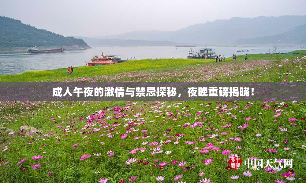 成人午夜的激情与禁忌探秘，夜晚重磅揭晓！