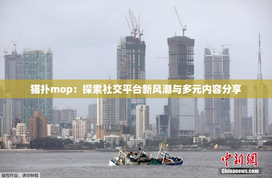 猫扑mop：探索社交平台新风潮与多元内容分享