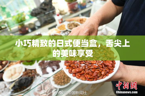 小巧精致的日式便当盒，舌尖上的美味享受