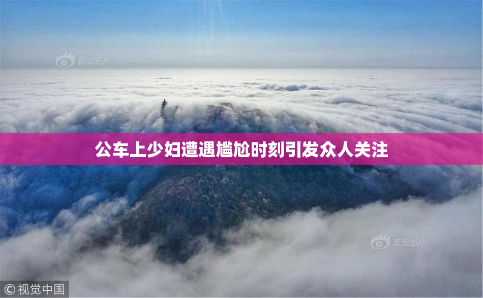 公车上少妇遭遇尴尬时刻引发众人关注