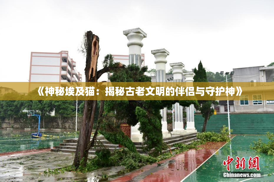 《神秘埃及猫：揭秘古老文明的伴侣与守护神》