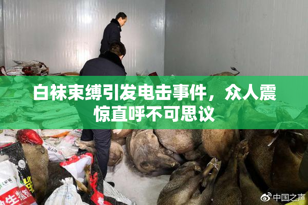 白袜束缚引发电击事件，众人震惊直呼不可思议