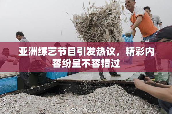 亚洲综艺节目引发热议，精彩内容纷呈不容错过