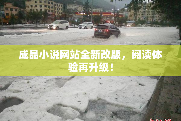 成品小说网站全新改版，阅读体验再升级！
