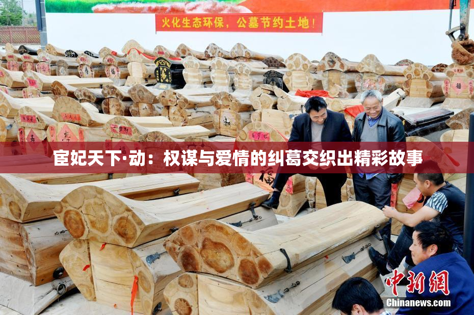 宦妃天下·动：权谋与爱情的纠葛交织出精彩故事