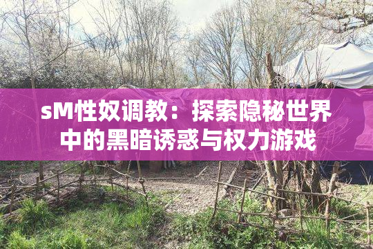 sM性奴调教：探索隐秘世界中的黑暗诱惑与权力游戏