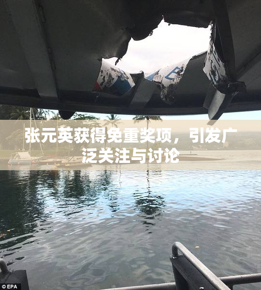 张元英获得免重奖项，引发广泛关注与讨论