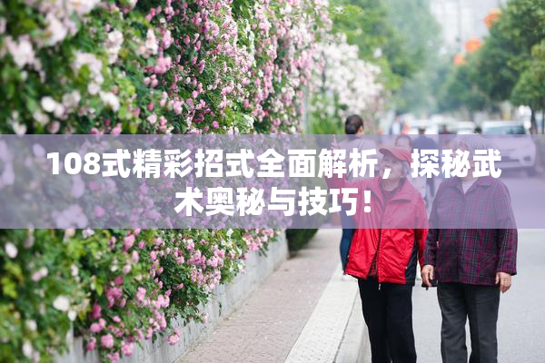 108式精彩招式全面解析，探秘武术奥秘与技巧！