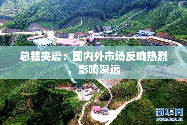 总裁夹震：国内外市场反响热烈，影响深远