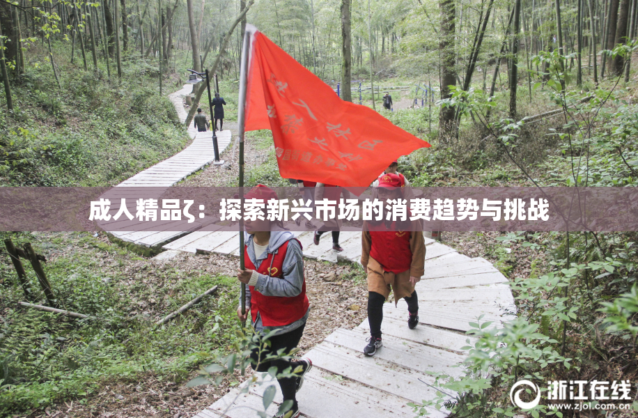 成人精品ζ：探索新兴市场的消费趋势与挑战