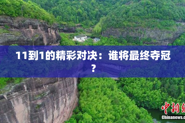 11到1的精彩对决：谁将最终夺冠？