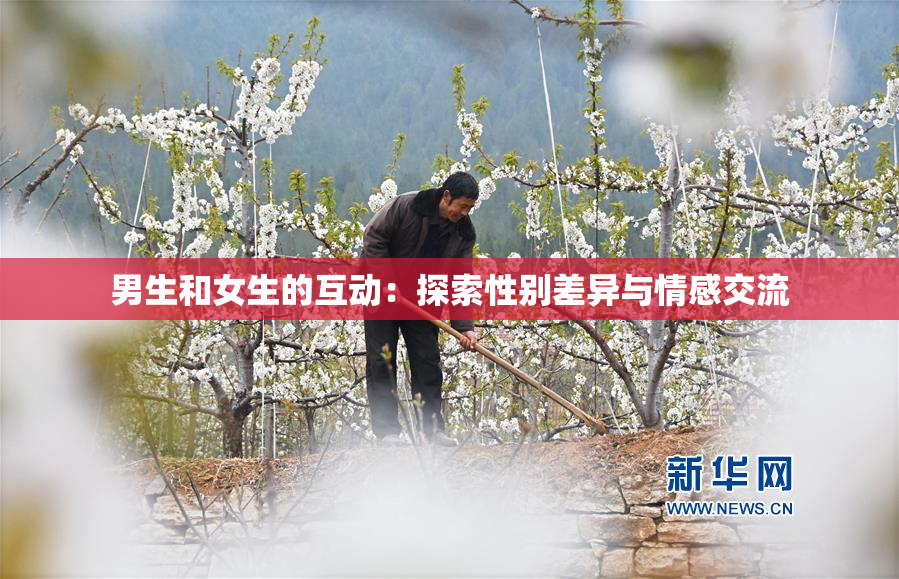 男生和女生的互动：探索性别差异与情感交流