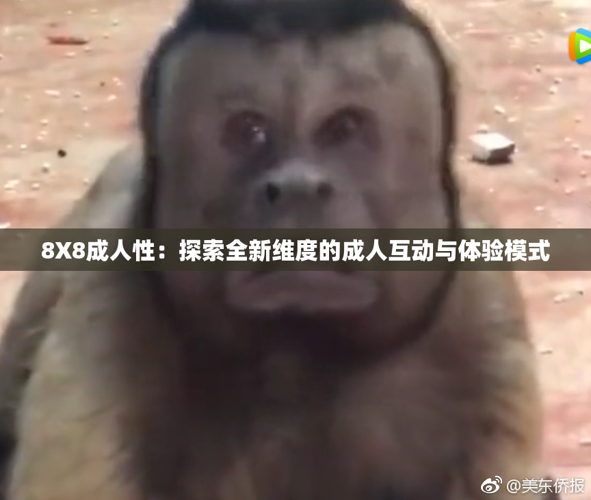 8X8成人性：探索全新维度的成人互动与体验模式