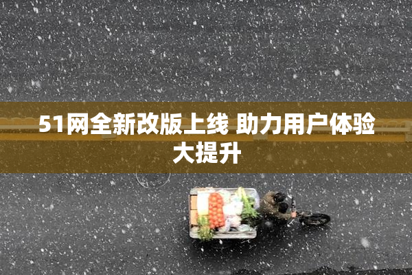 51网全新改版上线 助力用户体验大提升