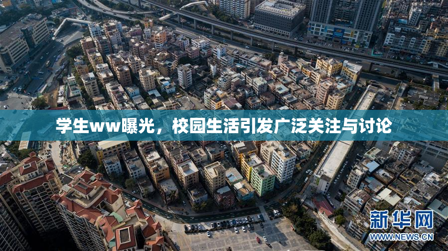 学生ww曝光，校园生活引发广泛关注与讨论