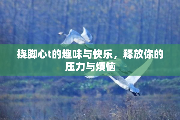 挠脚心t的趣味与快乐，释放你的压力与烦恼