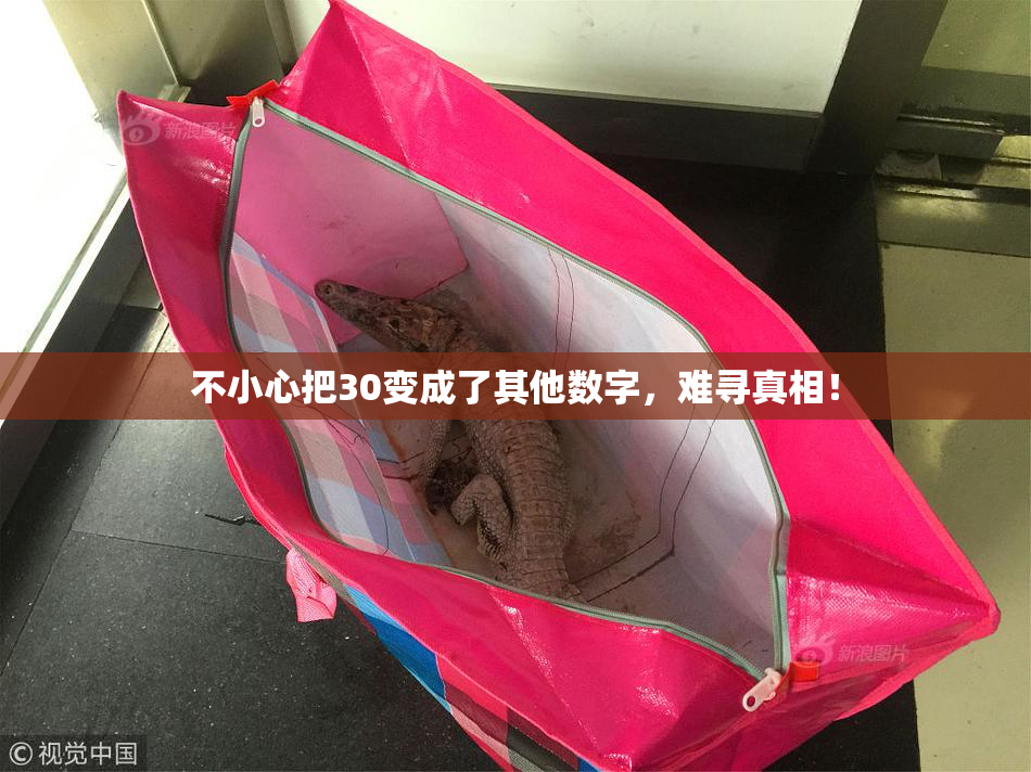 不小心把30变成了其他数字，难寻真相！