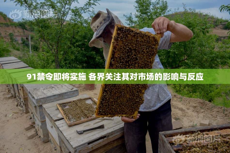 91禁令即将实施 各界关注其对市场的影响与反应