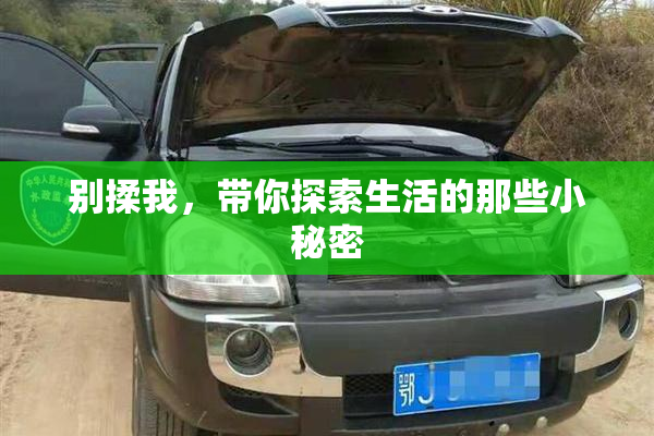 别揉我，带你探索生活的那些小秘密
