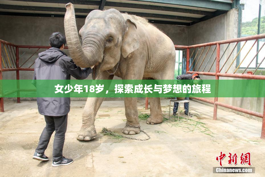 女少年18岁，探索成长与梦想的旅程
