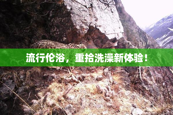 流行伦浴，重拾洗澡新体验！