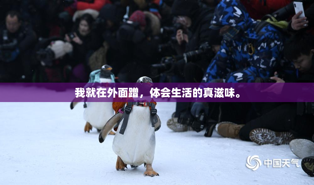 我就在外面蹭，体会生活的真滋味。