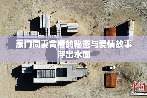 豪门同妻背后的秘密与爱情故事浮出水面